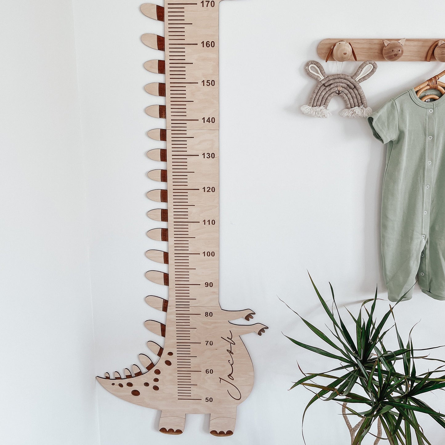 Courbe de Croissance en Bois Personnalisée